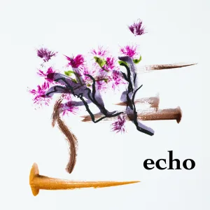 Orkiestra ECHO
